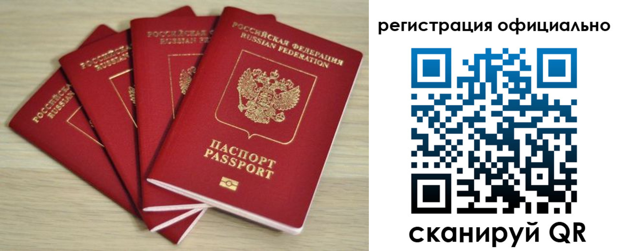 временная прописка в Мытищах